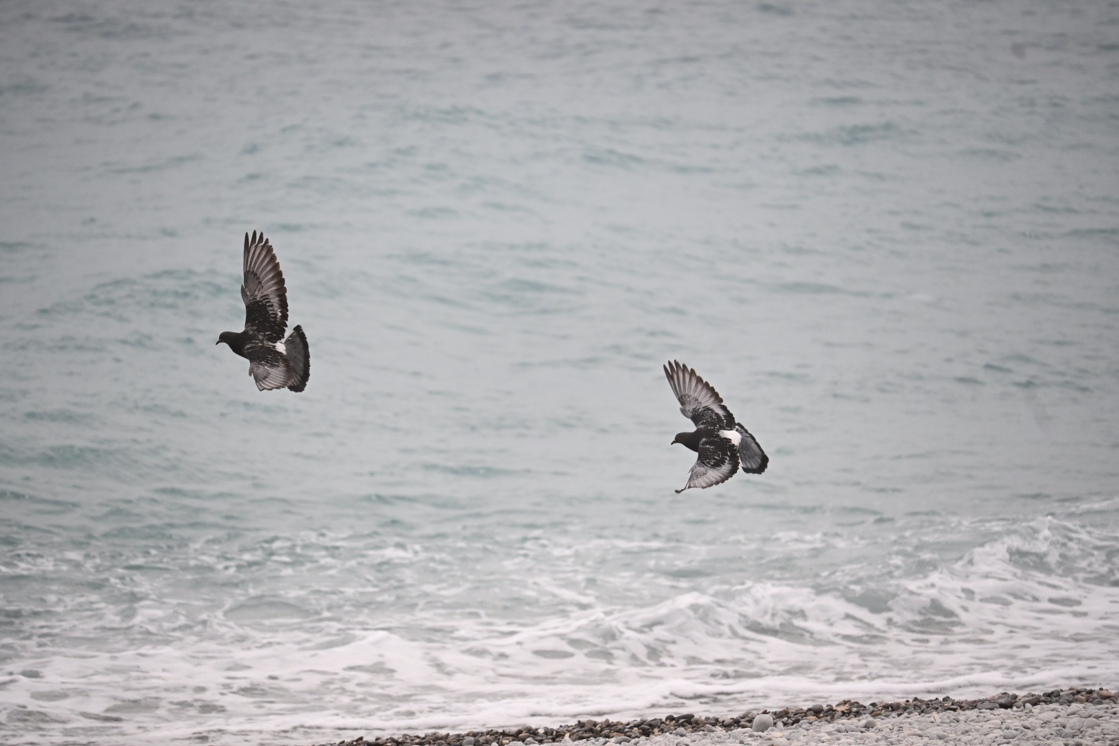 On vole sur la Promenade (des Anglais)
